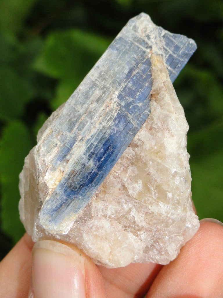 Gemmy BLUE KYANITE On Matrix - Earth Family Crystals