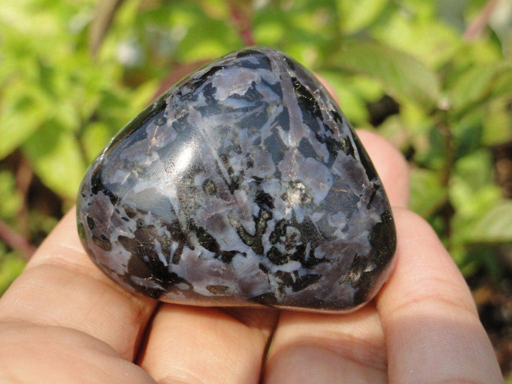 RESERVED for SHARON HORVATH Mysterious Black Merlinite Palm Stone* - Earth Family Crystals