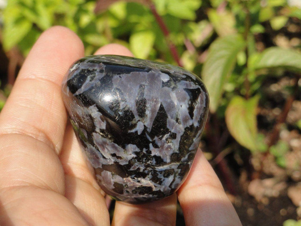 RESERVED for SHARON HORVATH Mysterious Black Merlinite Palm Stone* - Earth Family Crystals