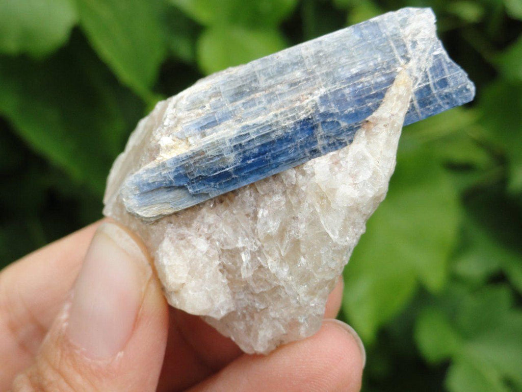 Gemmy BLUE KYANITE On Matrix - Earth Family Crystals