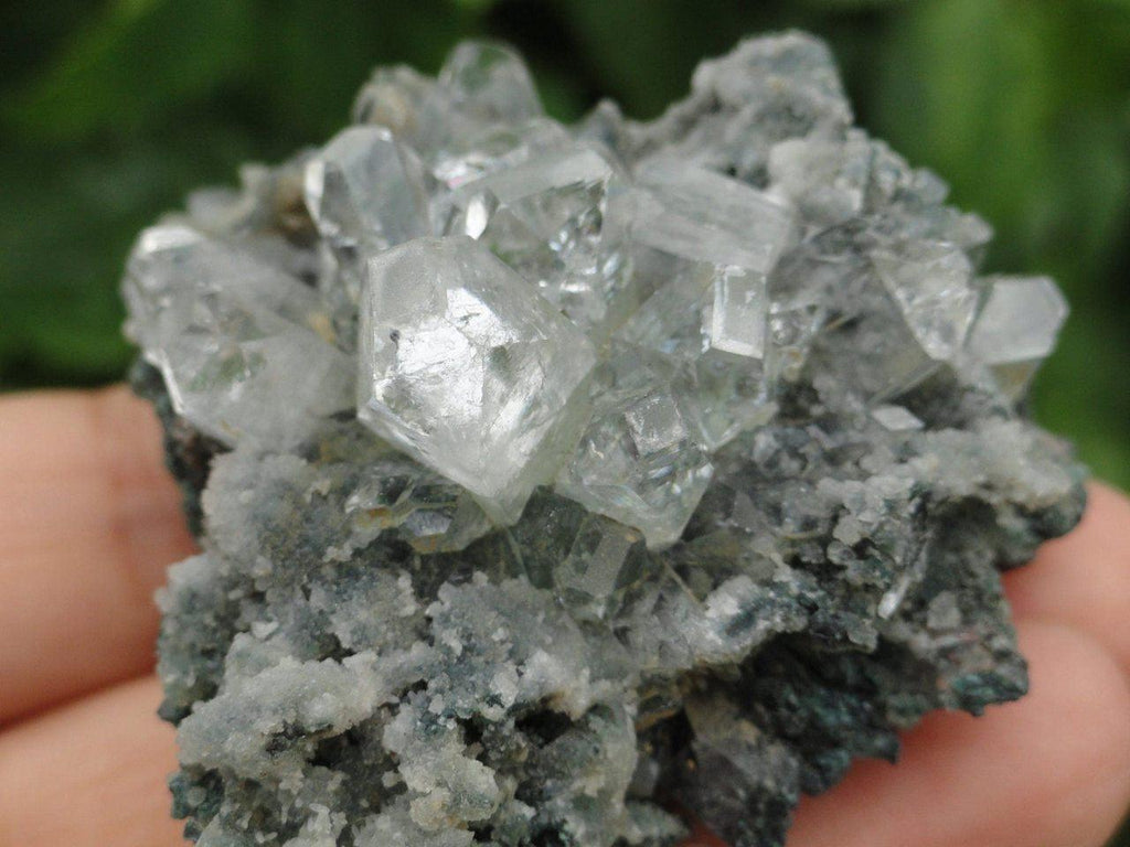 Sparkling CLEAR APOPHYLLITE On Black Chalcedony Matrix - Earth Family Crystals