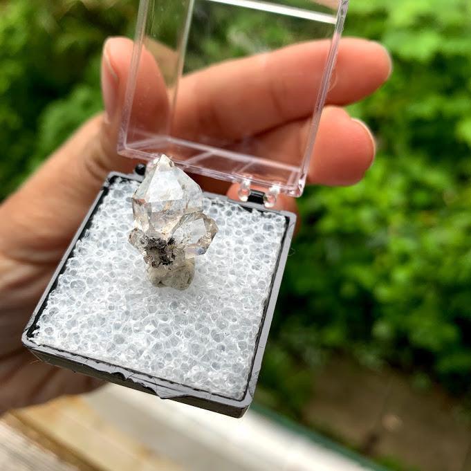 Brilliant Clarity New York Herkimer Diamond Quartz Specimen in Collectors Box #2 - Earth Family Crystals