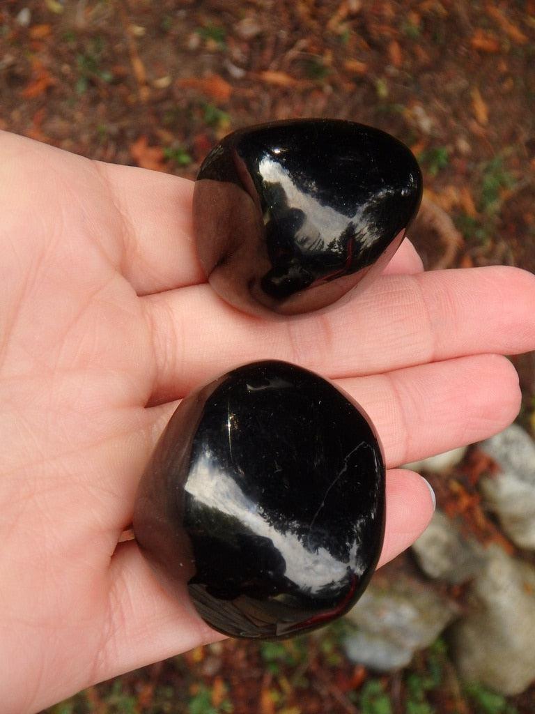 Set of 2 Polished Jet Palm Stones - Earth Family Crystals
