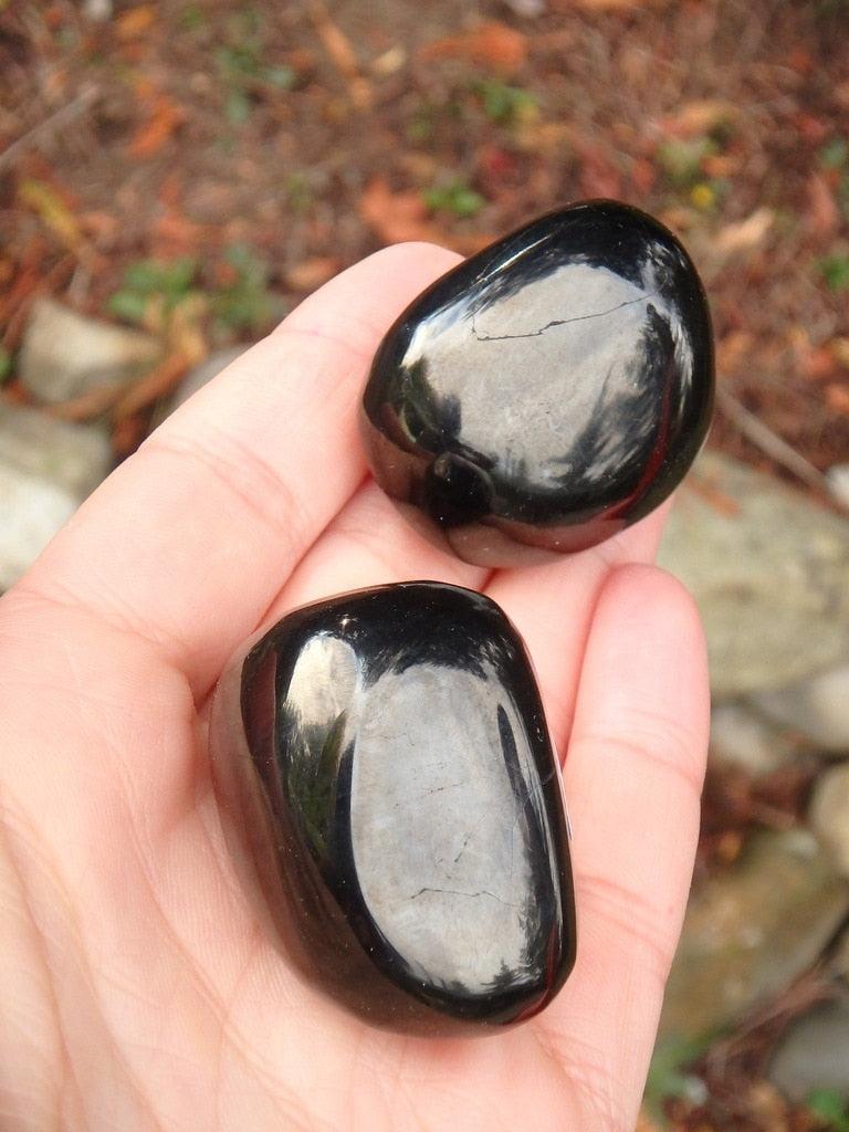 Set of 2 Polished Jet Palm Stones - Earth Family Crystals