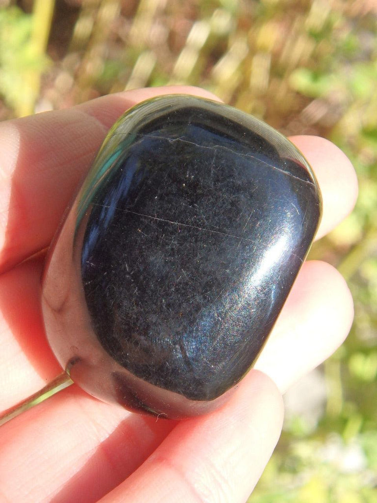 Smooth & Shiny Black Jet Palm Stone - Earth Family Crystals