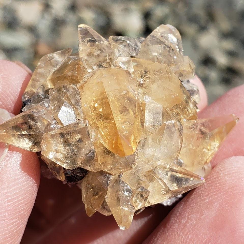 Famous Locality~Elmwood Mine Golden Stellar Beam Calcite Points nestled in Sphalerite Matrix - Earth Family Crystals