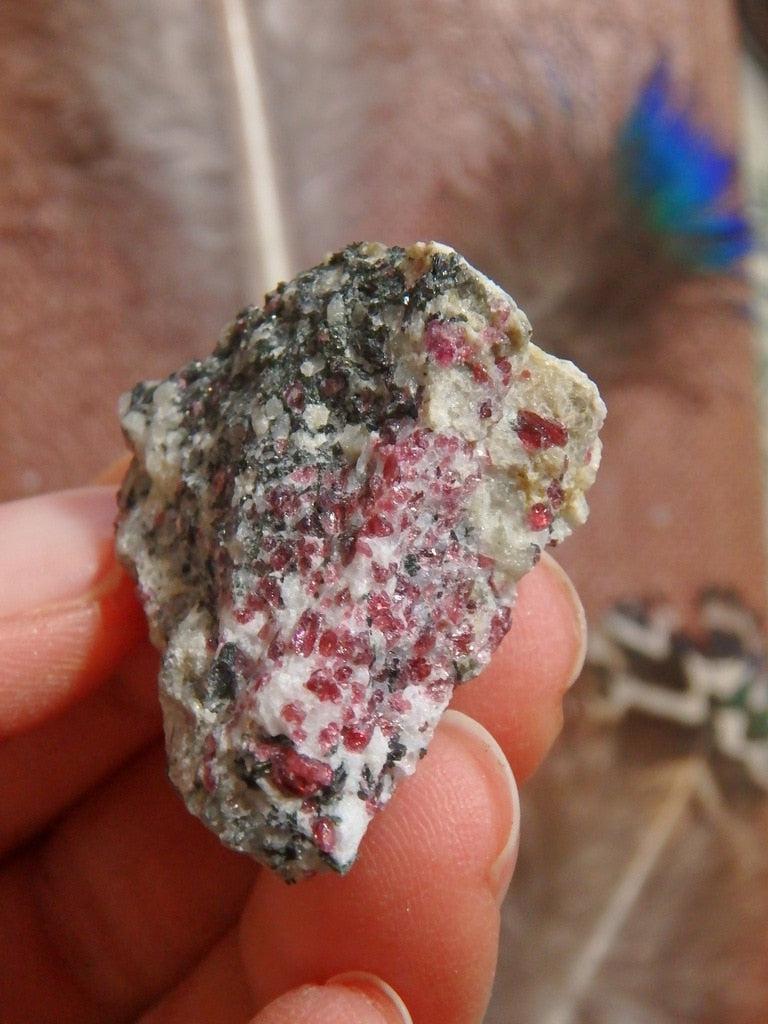 Rare Greenland Kakortokite With Agerine Specimen - Earth Family Crystals