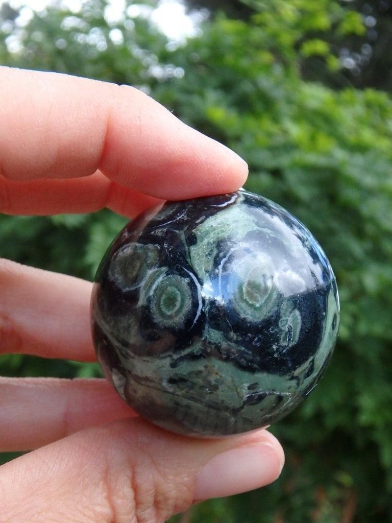 Green Orbs Kambaba Jasper Sphere Carving - Earth Family Crystals