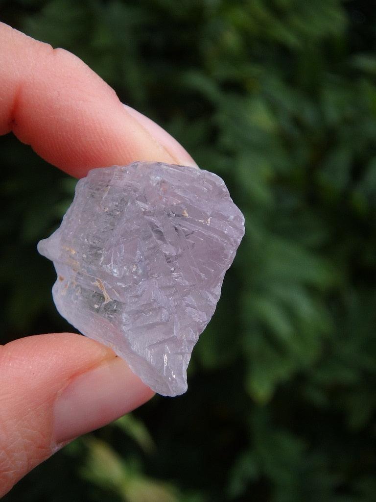Stunning Soft Pink Kunzite Specimen - Earth Family Crystals