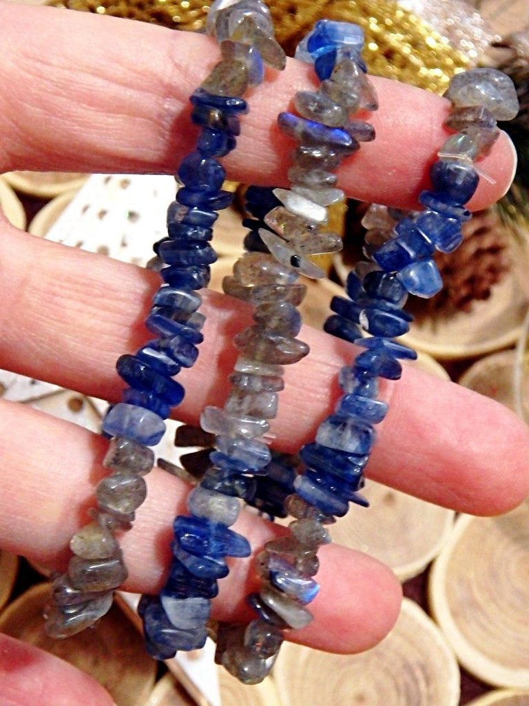 Brilliant Blue Kyanite & Labradorite Chip Bracelet - Earth Family Crystals