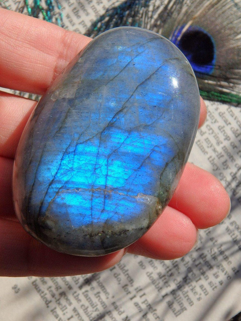 Cobalt Blue Flashes Hand Held Labradorite Specimen - Earth Family Crystals
