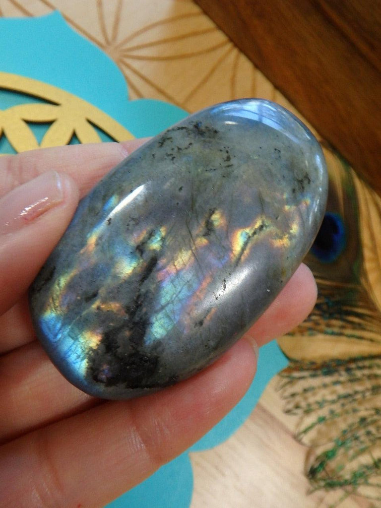 Stunning Flashes of Color Labradorite Palm Stone 3 - Earth Family Crystals