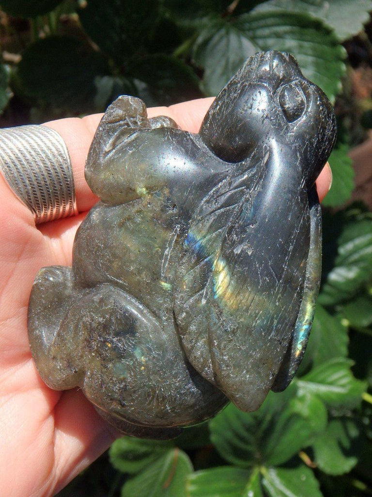 Adorable Labradorite Rabbit Standing Display Carving - Earth Family Crystals