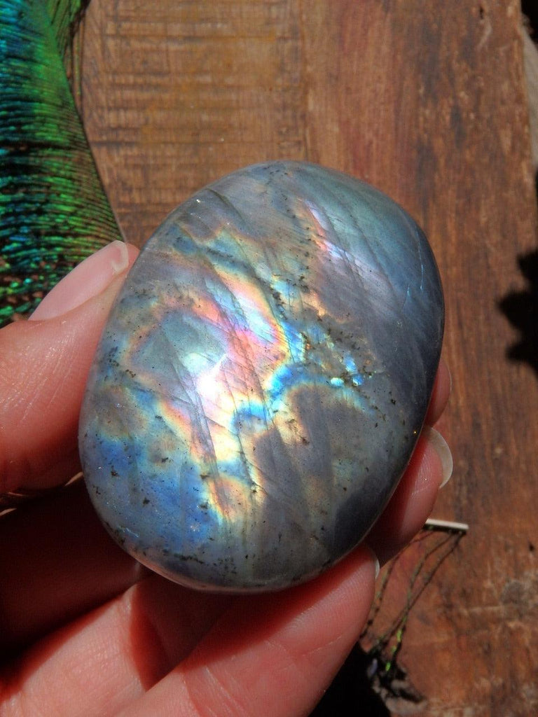 Lovely Flashes Labradorite Hand Held Palm Stone 3 - Earth Family Crystals