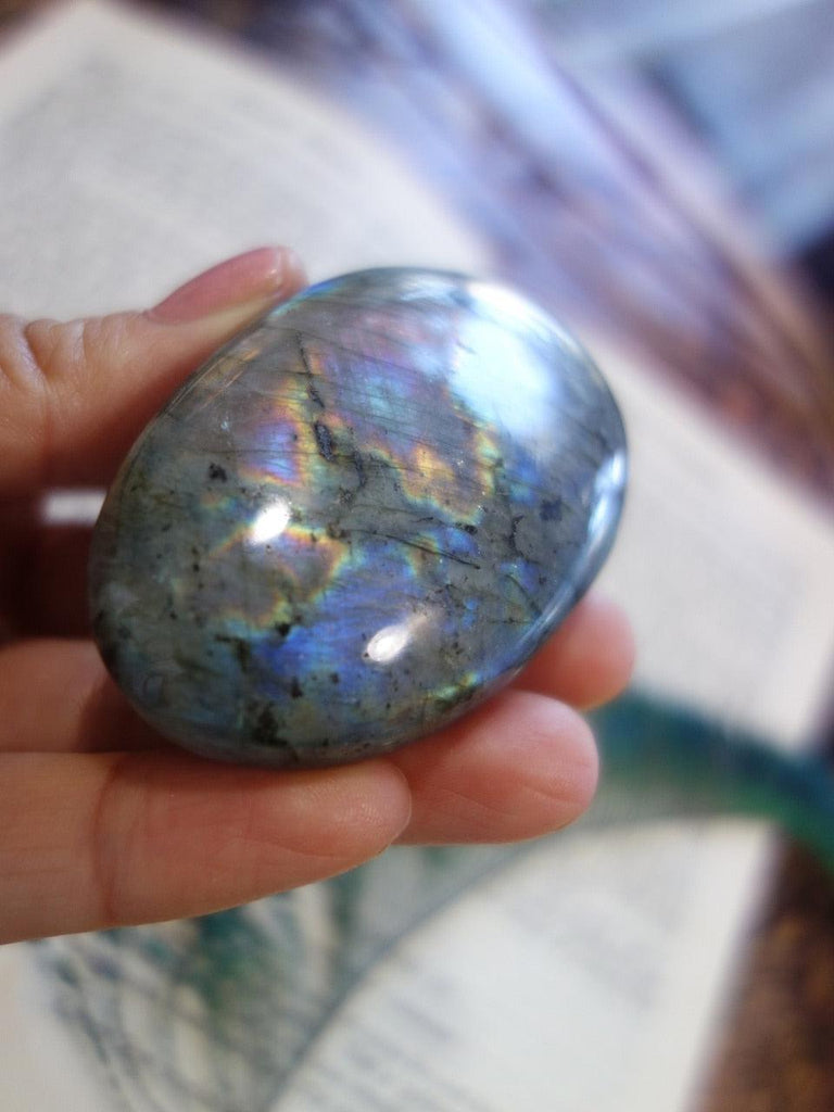Rainbow of Flashes Labradorite Palm Stone - Earth Family Crystals