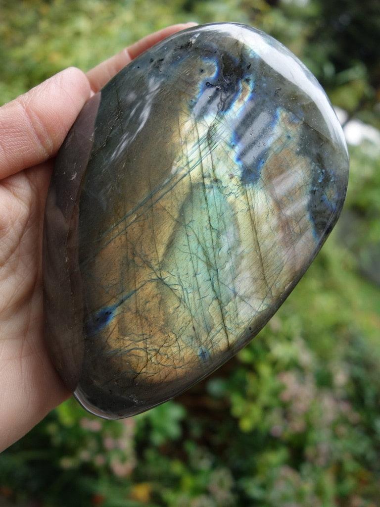 Warm Golden Flashes Large Labradorite Display Specimen - Earth Family Crystals