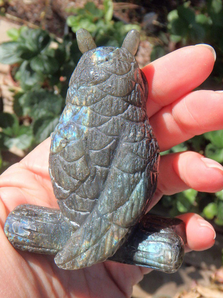 Friendly Labradorite Owl Standing Display Specimen - Earth Family Crystals