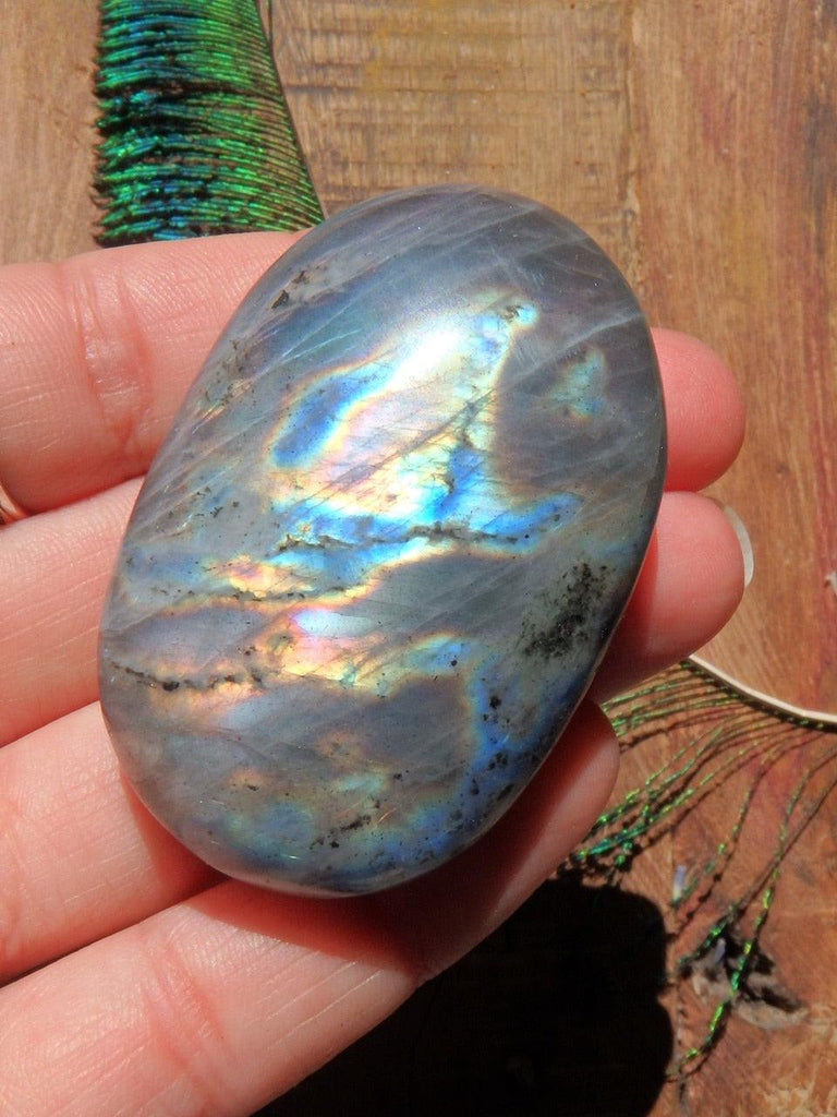 Lovely Flashes Labradorite Hand Held Palm Stone 3 - Earth Family Crystals