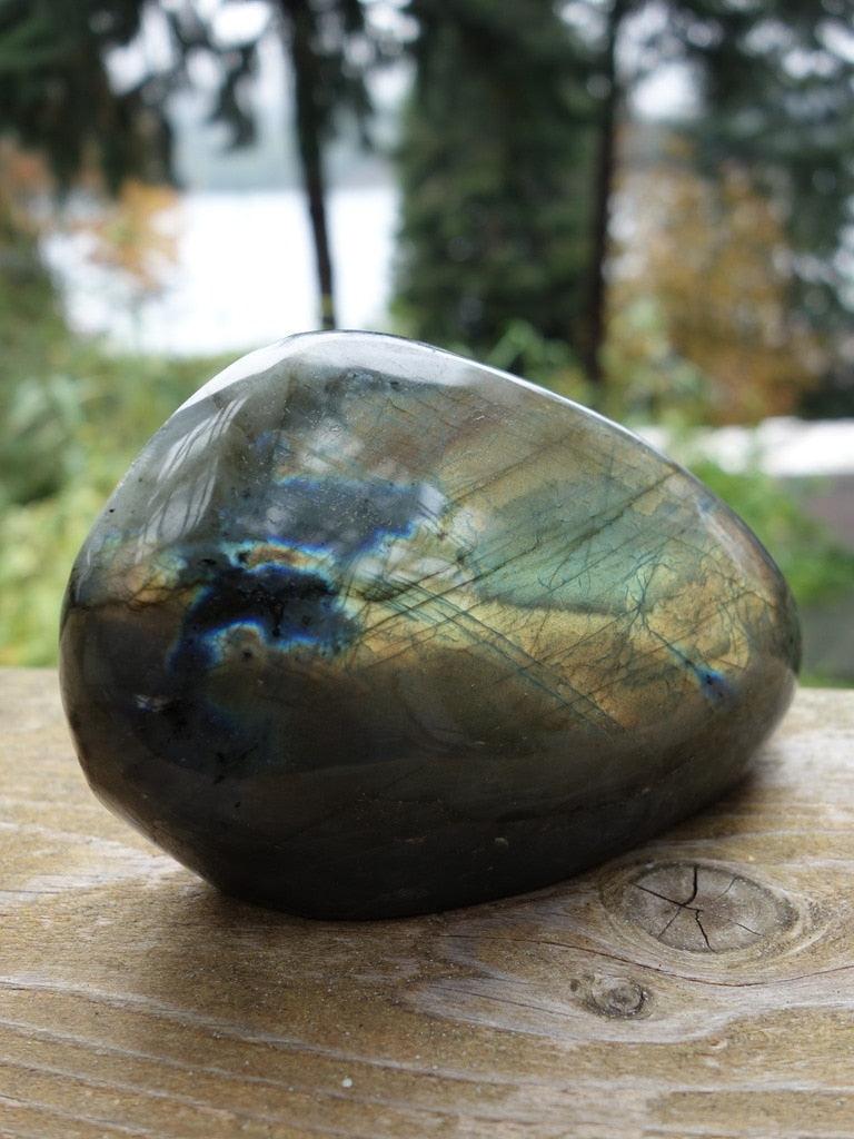 Warm Golden Flashes Large Labradorite Display Specimen - Earth Family Crystals