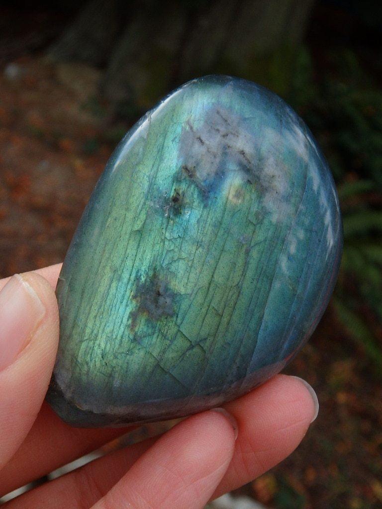 Amazing Green & Blue Flashes Labradorite Specimen - Earth Family Crystals