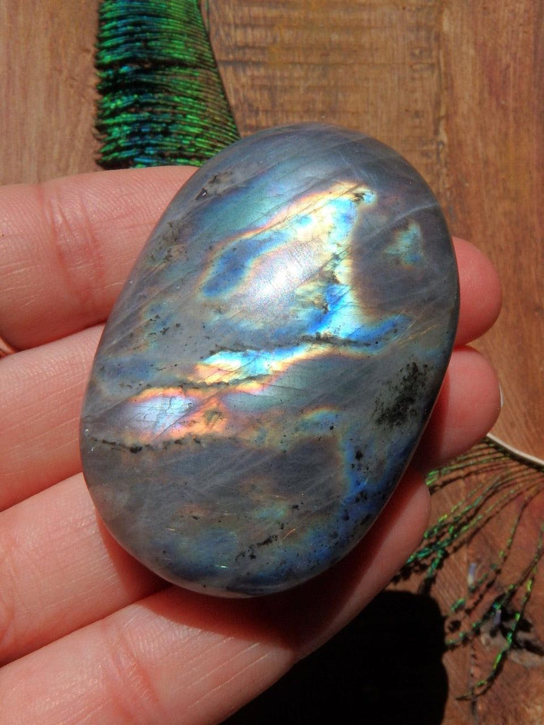 Lovely Flashes Labradorite Hand Held Palm Stone 3 - Earth Family Crystals