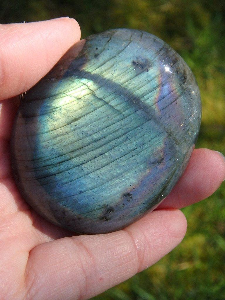 Amazing Flashes! Labradorite Healing Palm Stone 3 - Earth Family Crystals