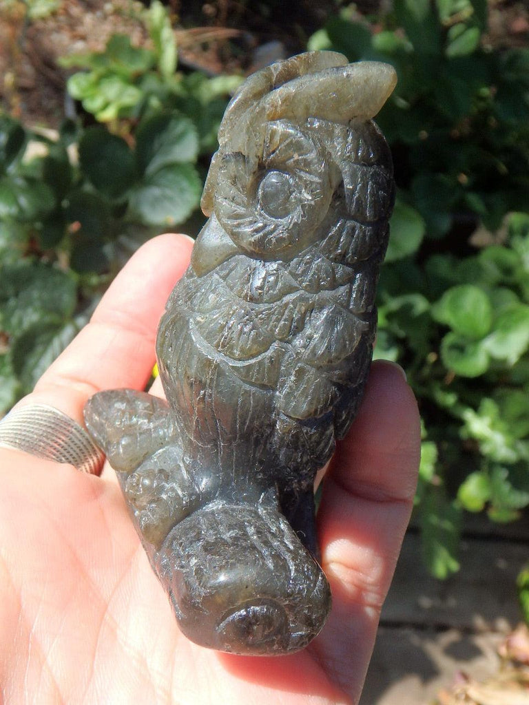 Friendly Labradorite Owl Standing Display Specimen - Earth Family Crystals