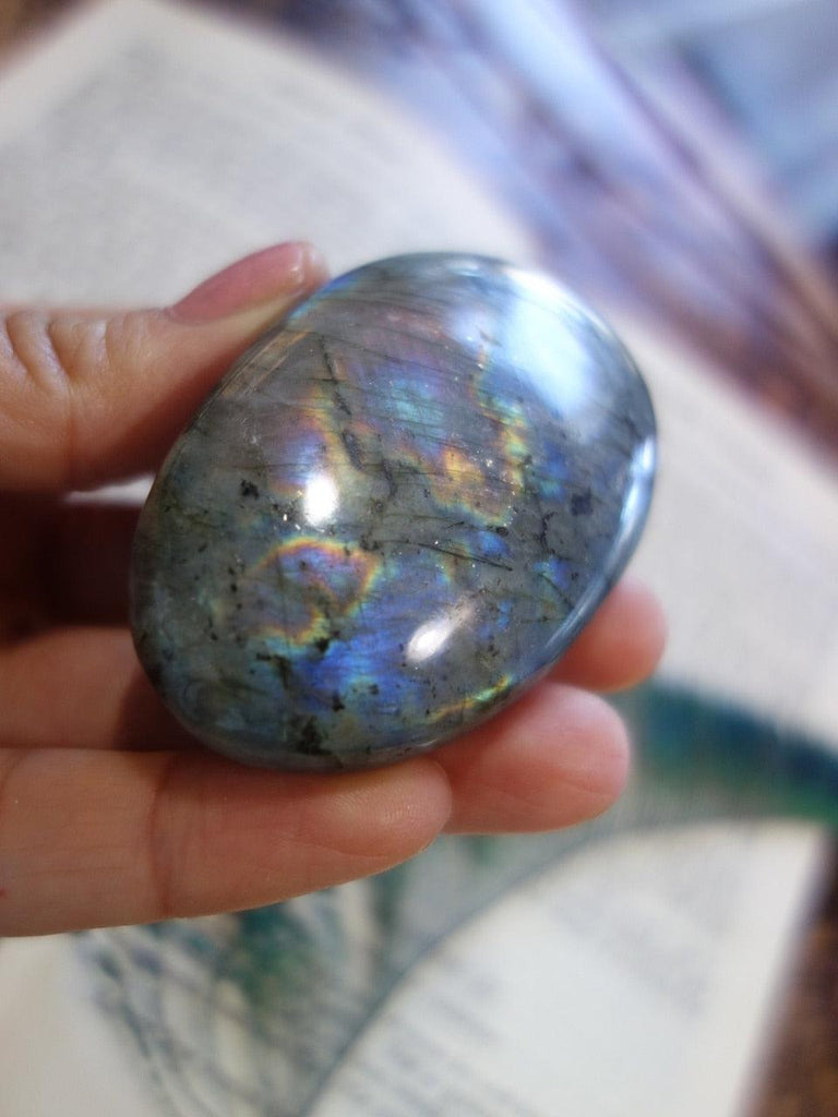 Rainbow of Flashes Labradorite Palm Stone - Earth Family Crystals