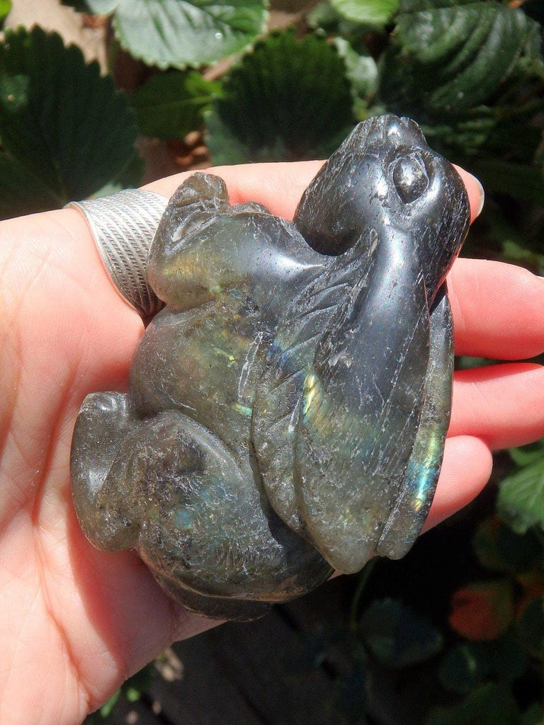 Adorable Labradorite Rabbit Standing Display Carving - Earth Family Crystals