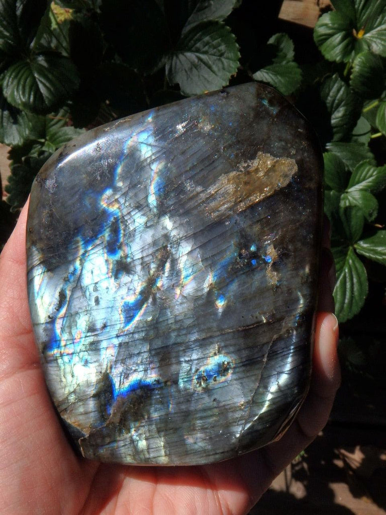 Mesmerizing Silvery Blue & Purple Labradorite Standing Display Specimen - Earth Family Crystals
