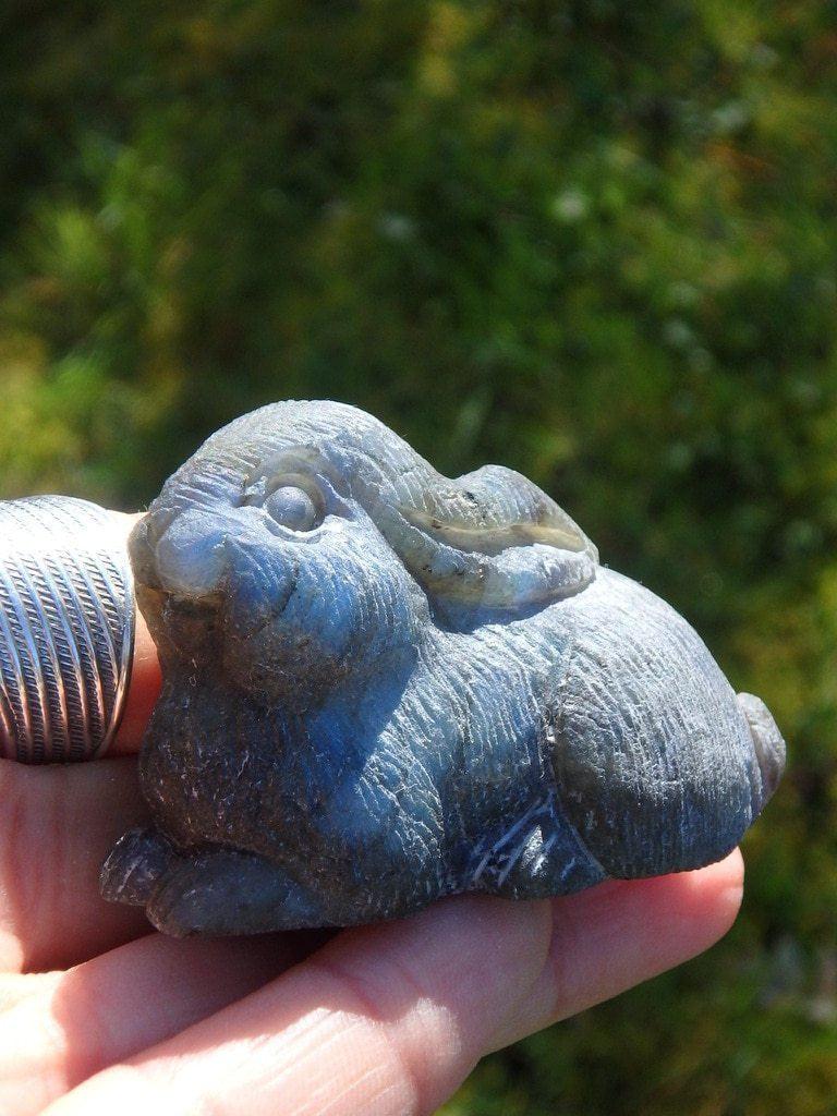 Adorable Labradorite Rabbit Gemstone Carving 1 - Earth Family Crystals