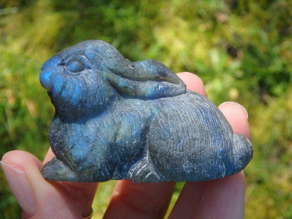 Adorable Labradorite Rabbit Gemstone Carving 1 - Earth Family Crystals