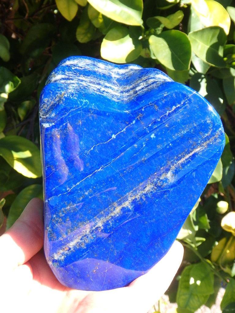 REDUCED~ XL Deep Celestial Blue Large Lapis Lazuli Free Form Specimen - Earth Family Crystals