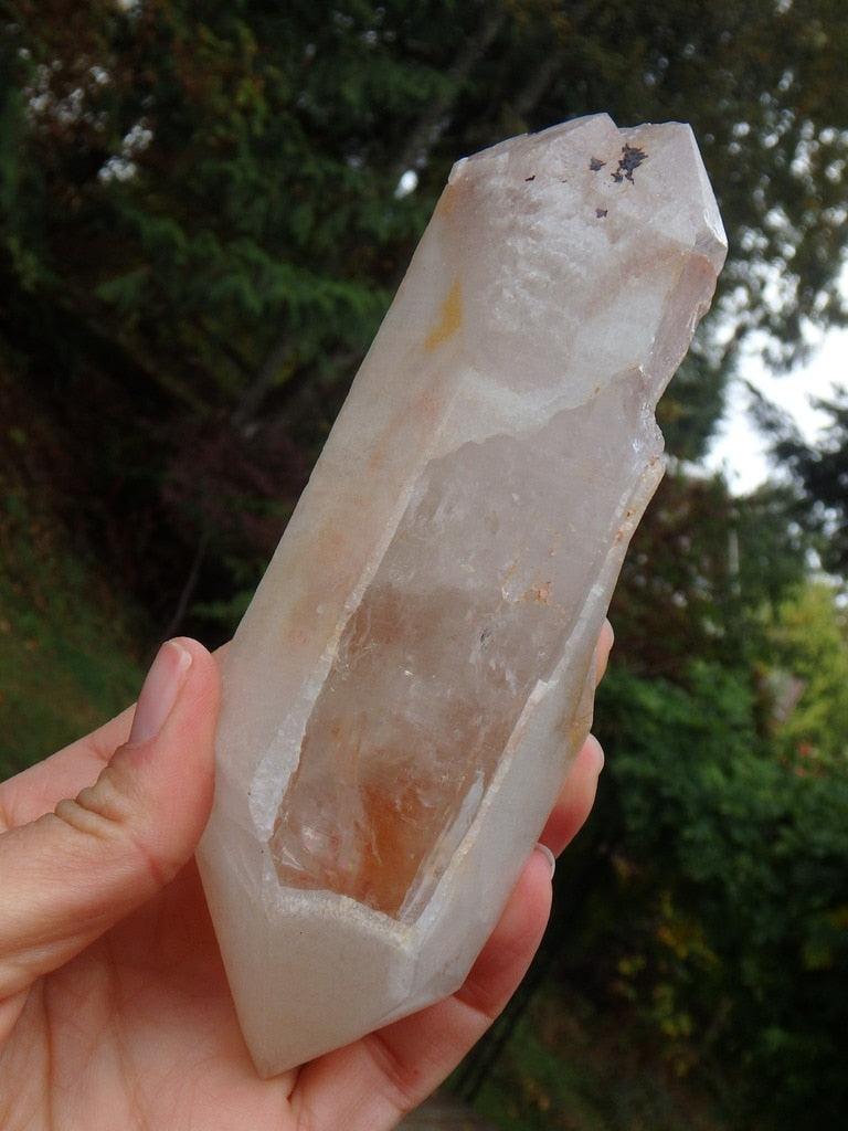 Rare Find! Sun Kissed  Large DT Tangerine Lemurian Quartz Point Encrusted in Druzy From Brazil - Earth Family Crystals