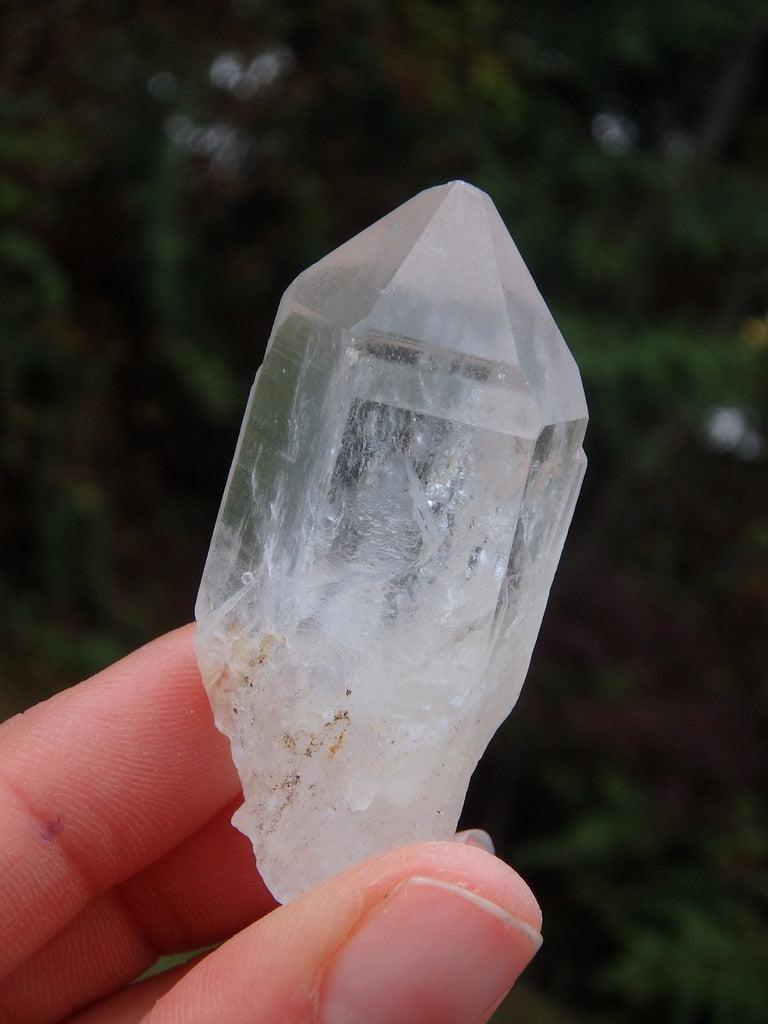 Small Lemurian Seed Quartz Point From Brazil 2 - Earth Family Crystals