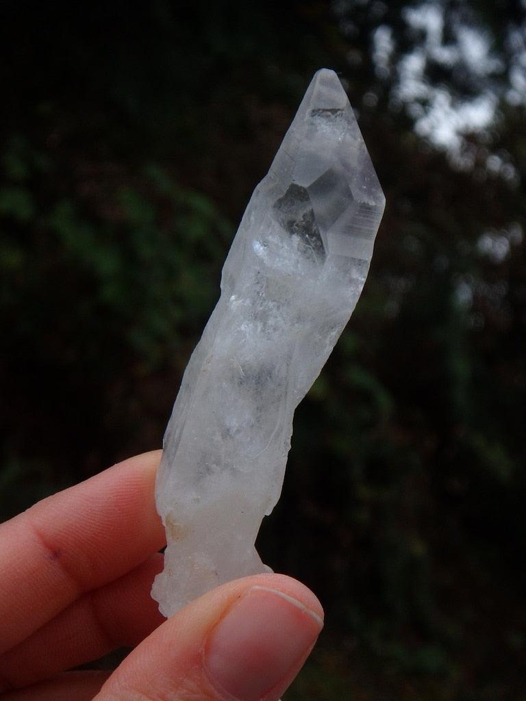 Small Lemurian Seed Quartz Point From Brazil 1 - Earth Family Crystals