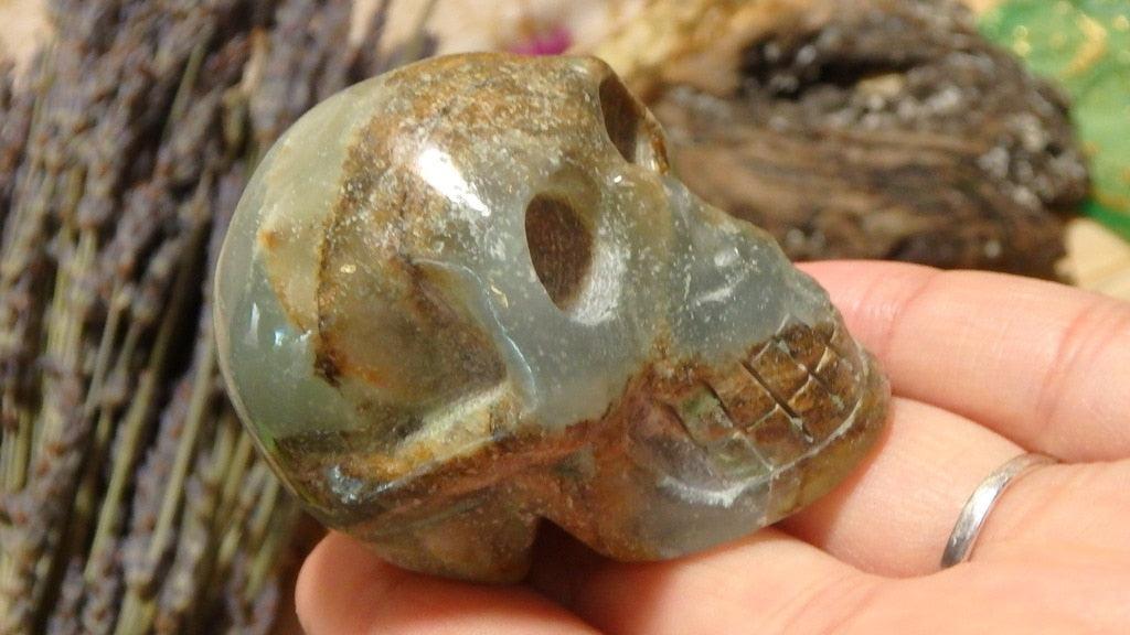Lemurian Aquatine Calcite Crystal Skull Carving - Earth Family Crystals