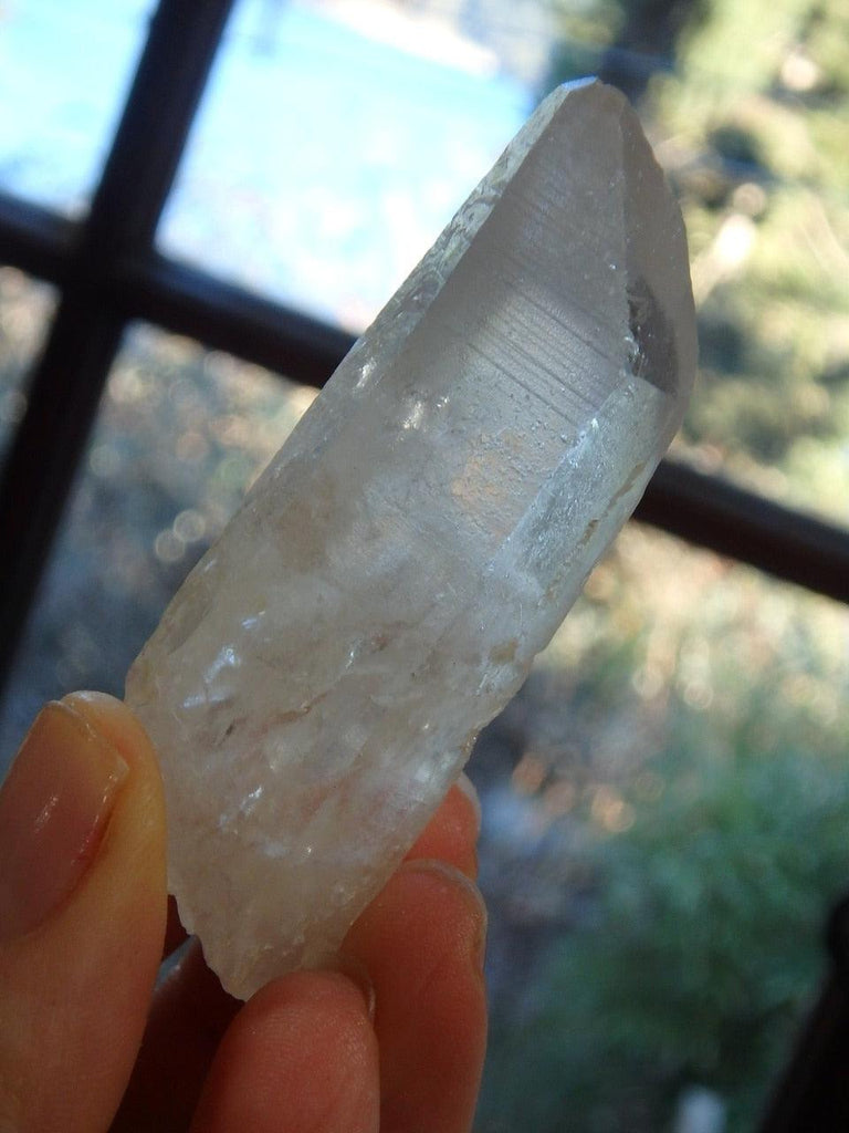 Lemurian Seed Quartz Point From Brazil 1 - Earth Family Crystals