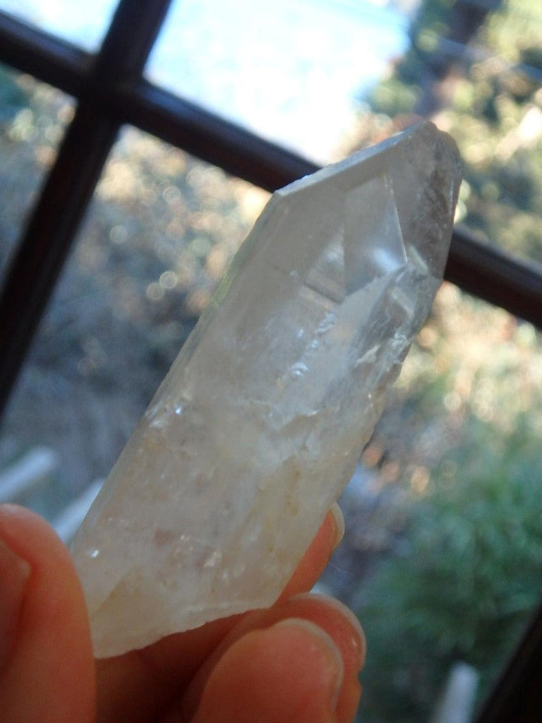 Lemurian Seed Quartz Point From Brazil 1 - Earth Family Crystals