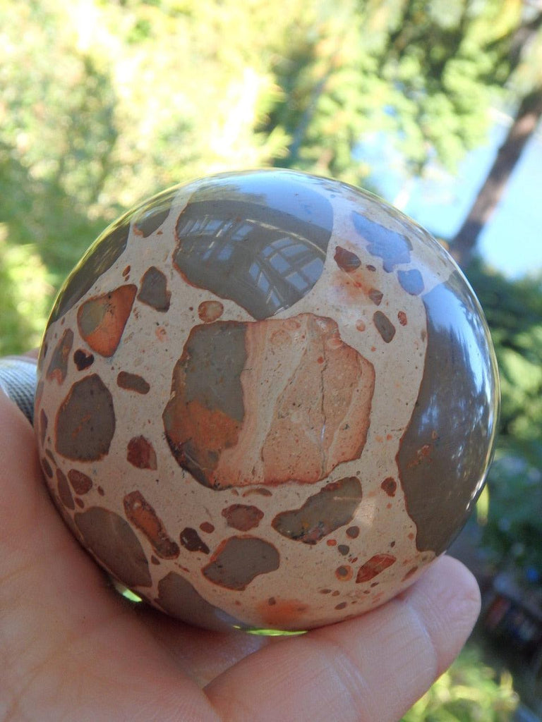 Unique Leopard Skin Jasper Large Sphere Carving - Earth Family Crystals