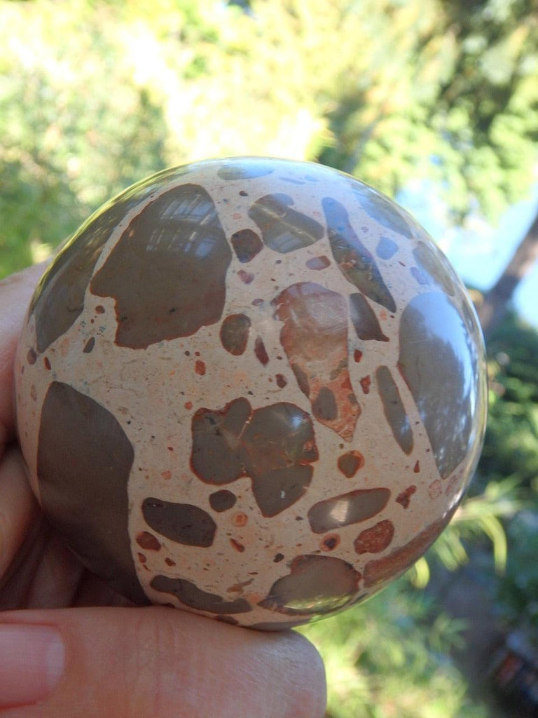 Unique Leopard Skin Jasper Large Sphere Carving - Earth Family Crystals
