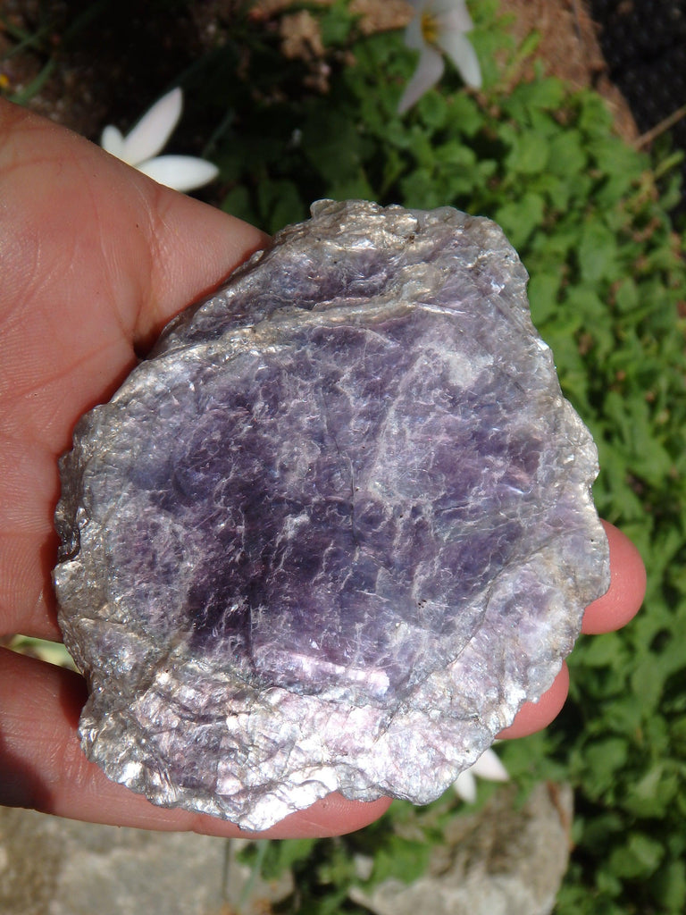 Extreme Violet Sheen Brazilian Lepidolite Specimen - Earth Family Crystals