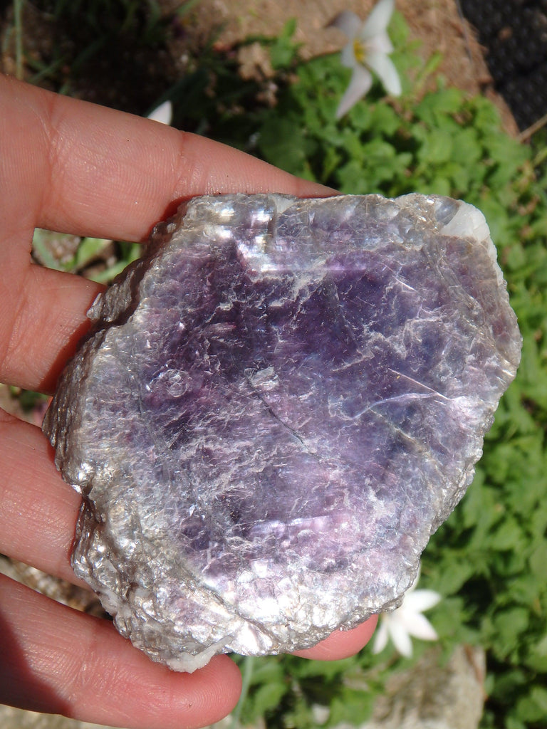 Extreme Violet Sheen Brazilian Lepidolite Specimen - Earth Family Crystals