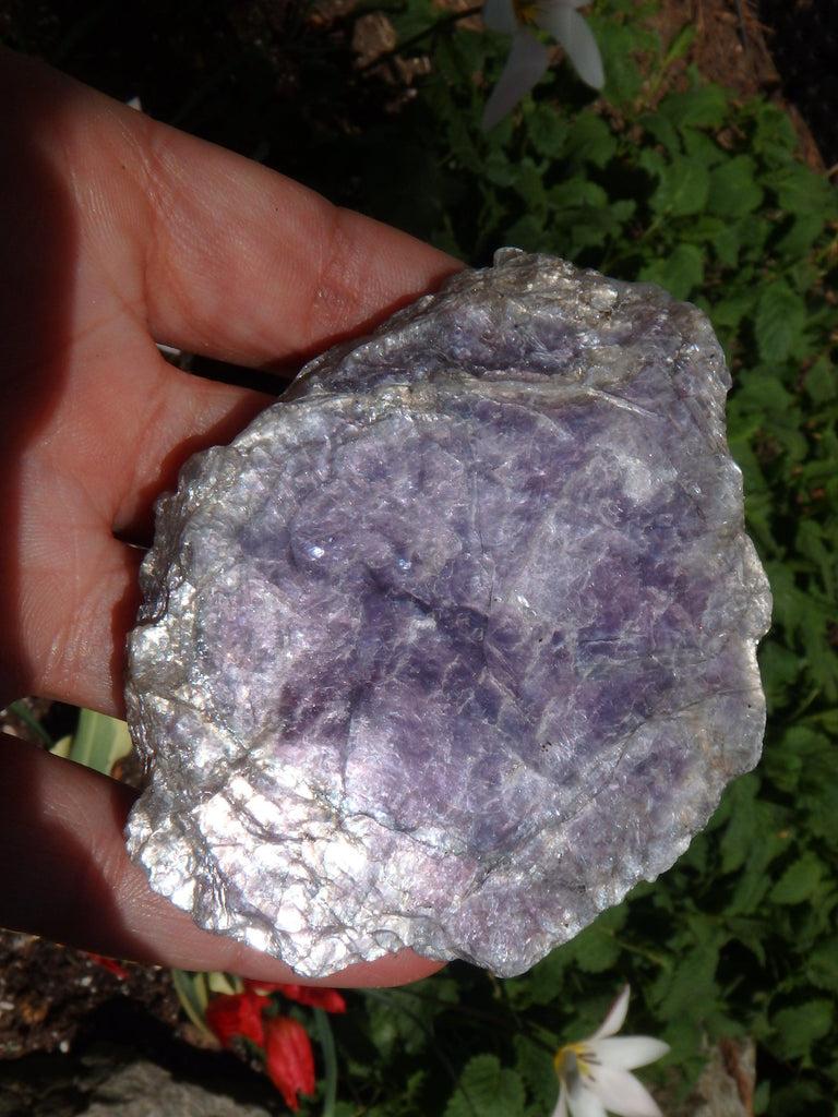 Extreme Violet Sheen Brazilian Lepidolite Specimen - Earth Family Crystals