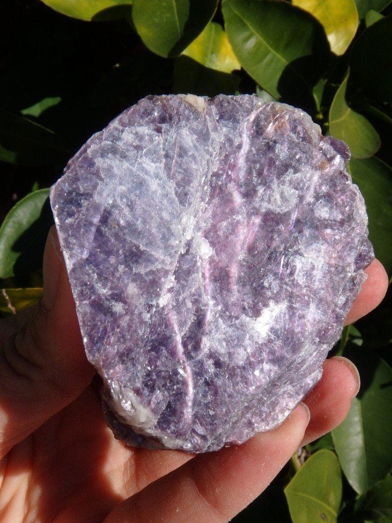 Deep Purple Raw Lepidolite Hand-held Specimen - Earth Family Crystals