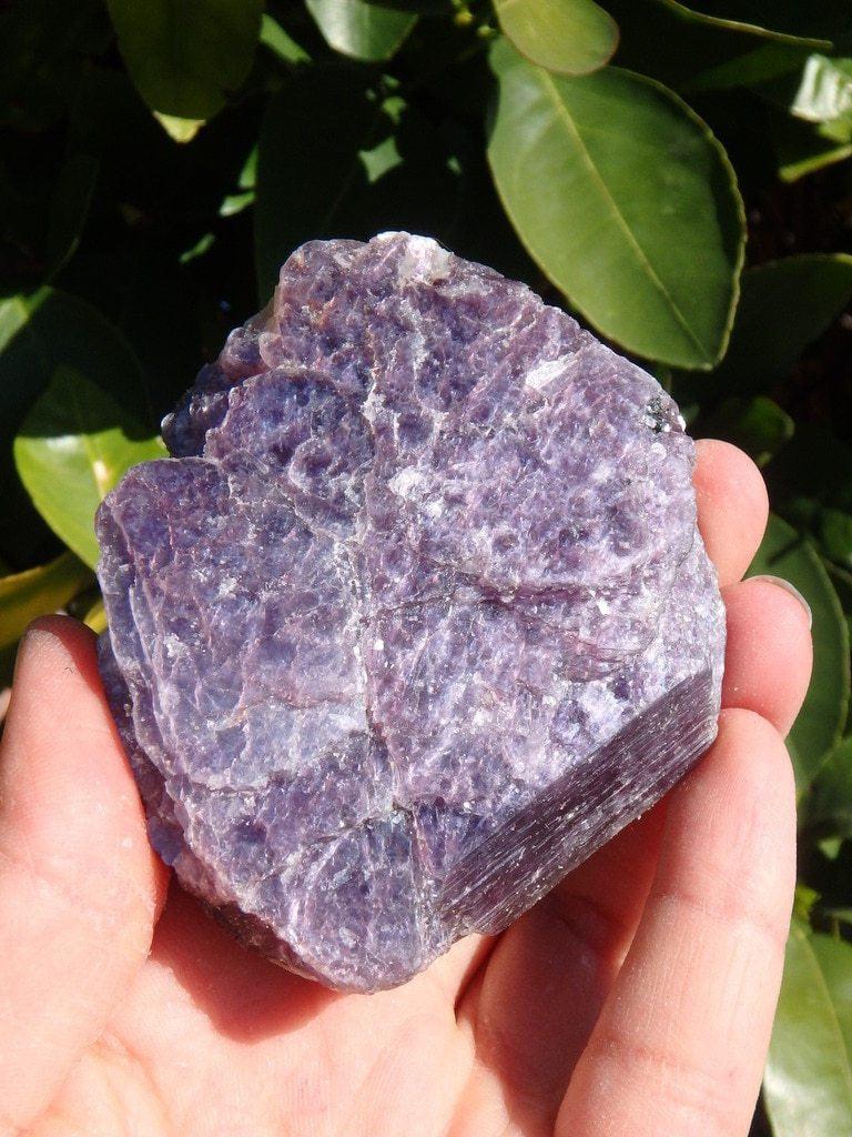 Deep Purple Raw Lepidolite Hand-held Specimen - Earth Family Crystals