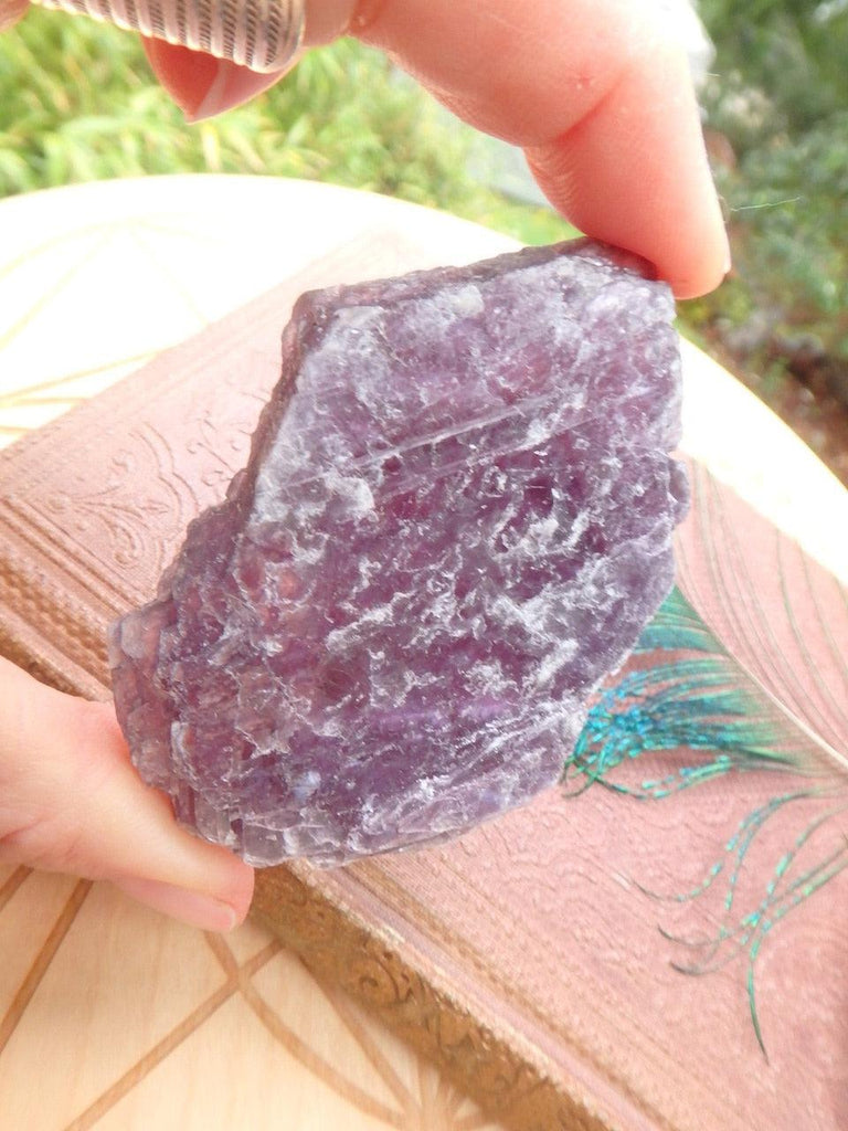 Extreme Healing~ Violet Purple Lepidolite Flat Specimen Ideal For Body Layouts - Earth Family Crystals