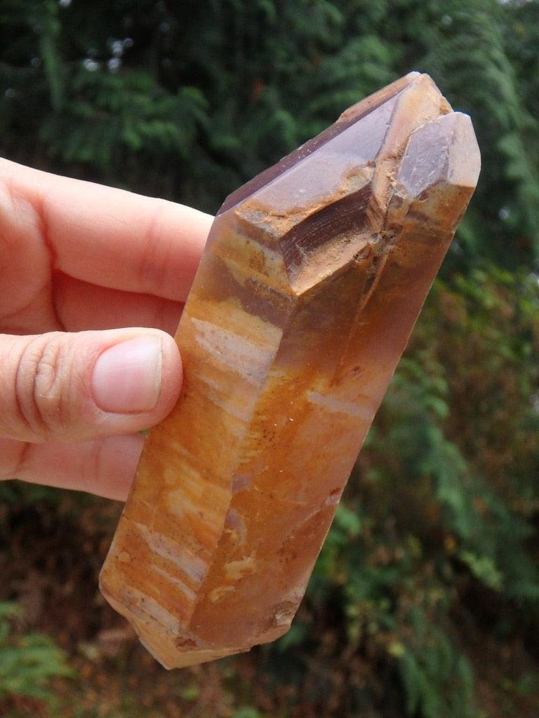 Exquisite Saturation~ Very Healing Large DT Lithium Quartz Specimen From Brazil - Earth Family Crystals