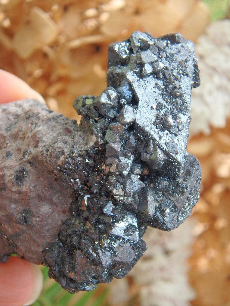 Pseudomorph Formation! Intricate Magnetite Specimen (Formed After Hematite) On Matrix - Earth Family Crystals