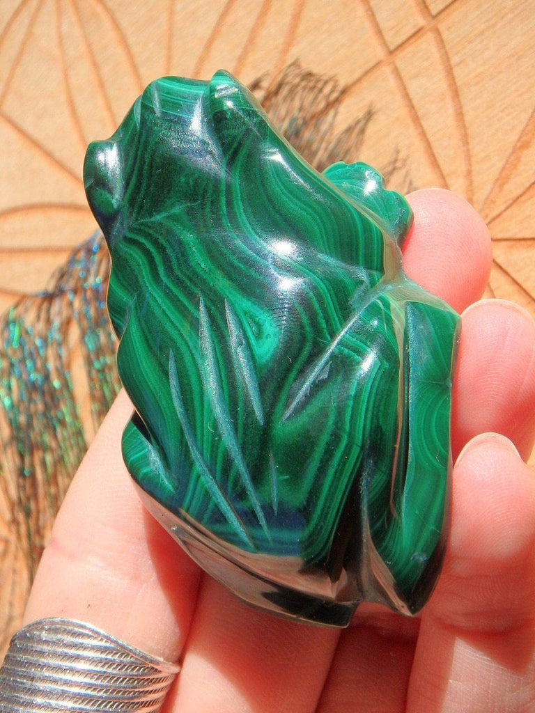 Adorable Deep Green Malachite Frog Carving - Earth Family Crystals